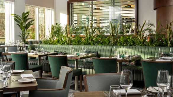 Dunboyne Ivy Restaurant 1